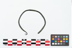Foto von Bronzedrahtarmreif (NHMW-PRAE-026127)